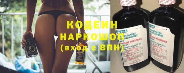 прущие грибы Дмитровск