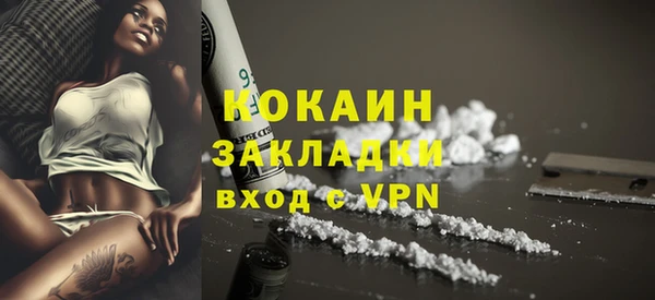 индика Медногорск