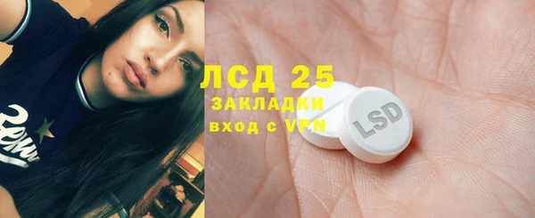 стафф Аркадак